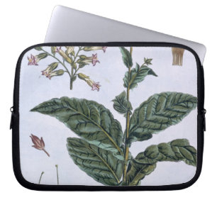 Tobacco plant, plate 7, from 'Collection Precieuse Laptop Sleeve
