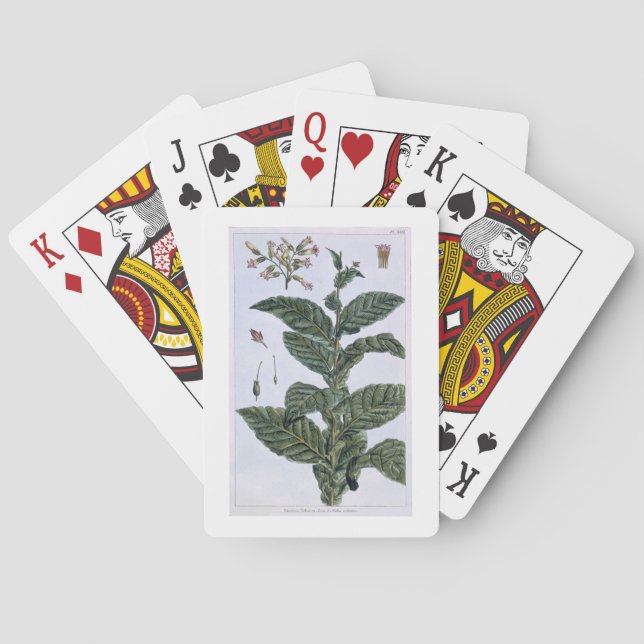 Tobacco plant, plate 7, from 'Collection Precieuse Playing Cards (Back)
