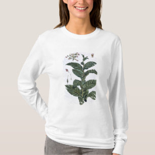 Tobacco plant, plate 7, from 'Collection Precieuse T-Shirt
