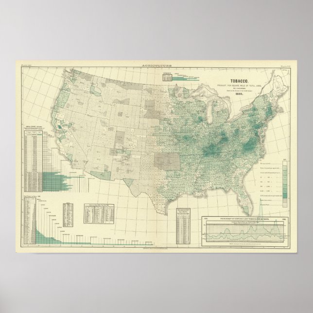 Tobacco Poster (Front)