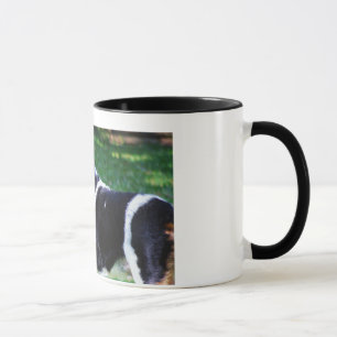 Toby Mug