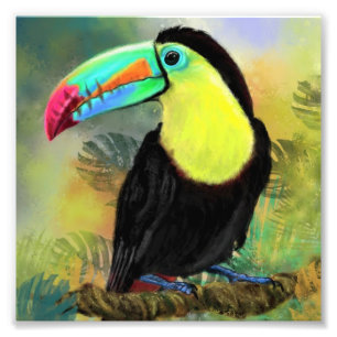 Toco Toucan Bird Painting Poster Print