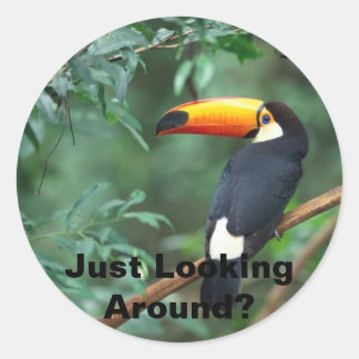 Toco Toucan, Just Looking Around? Classic Round Sticker