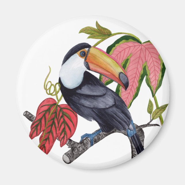 Toco Toucan Magnet (Front)