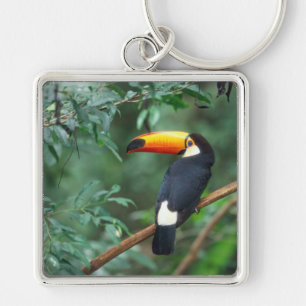 TOCO TOUCAN PHOTO FULL COLOR KEY RING