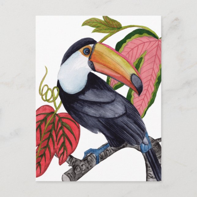 Toco Toucan Postcard (Front)