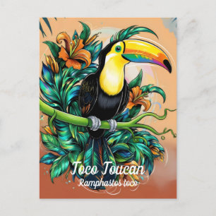 Toco Toucan  Postcard