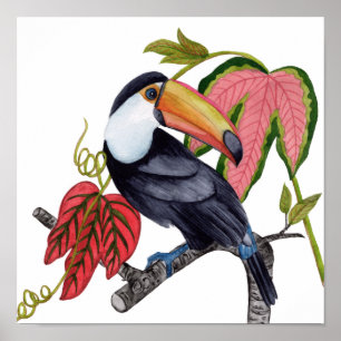 Toco Toucan Poster
