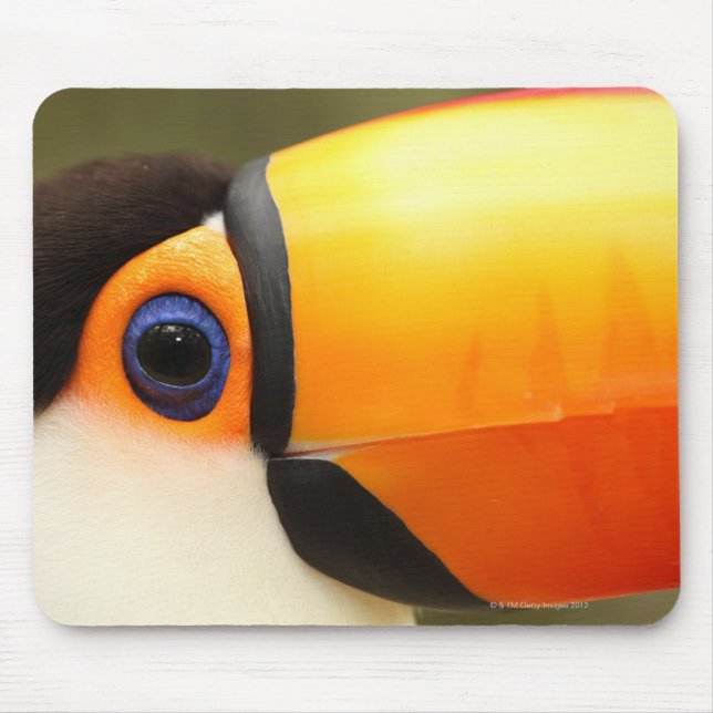 Toco Toucan (Ramphastos toco) is the largest Mouse Pad (Front)