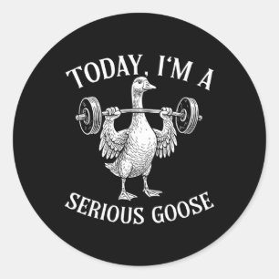 Today I'm Serious Goose  Classic Round Sticker