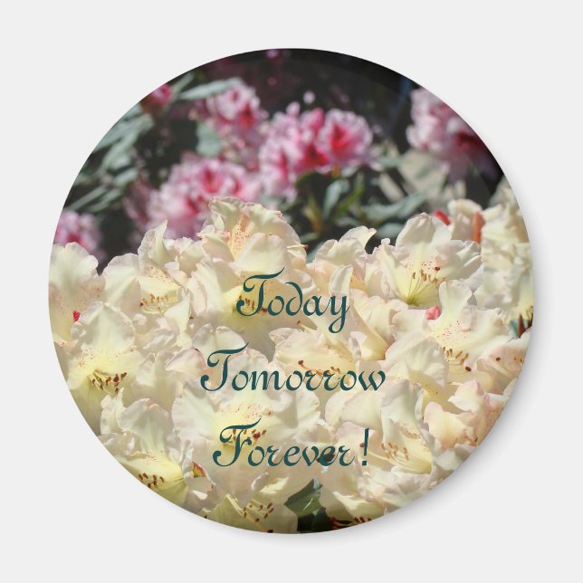 Today Tomorrow Forever! magnet Valentine's Day (Front)