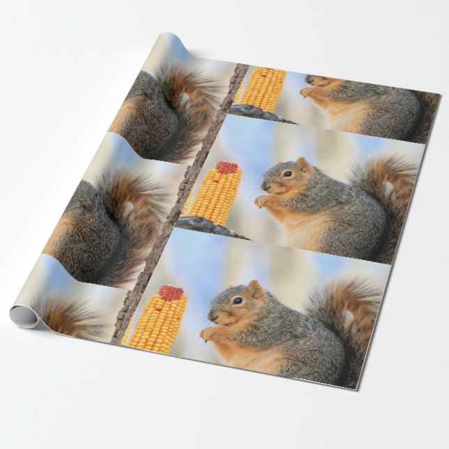 Todays  furball  wrapping paper (Unrolled)