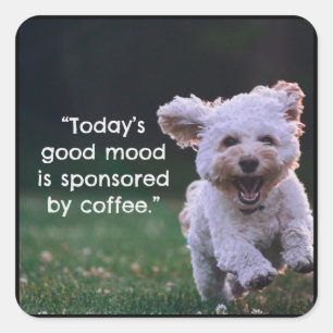 Today's good mood is sponsored by coffee  square sticker