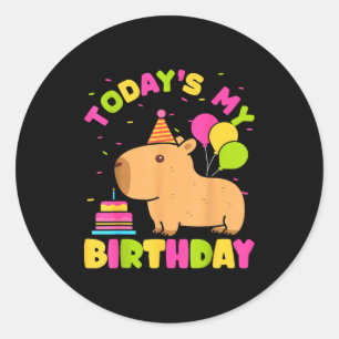 Todays My Birthday Girls Capybara Lovers Birthday  Classic Round Sticker