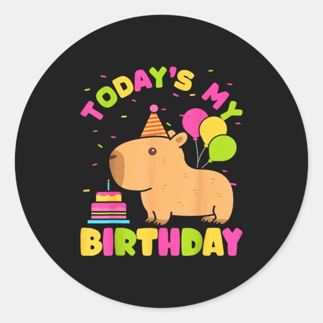 Todays My Birthday Girls Capybara Lovers Birthday  Classic Round Sticker (Front)