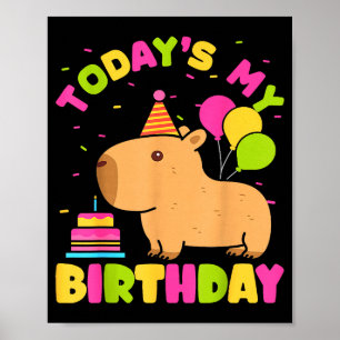 Todays My Birthday Girls Capybara Lovers Birthday  Poster