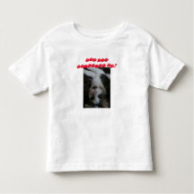 Toddler funny cat shirt (red text)