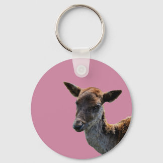 toe key ring