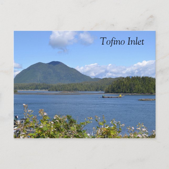 Tofino Inlet Postcard (Front)