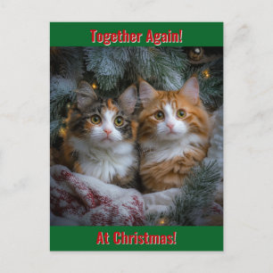 Together Again at Christmas! Postcard