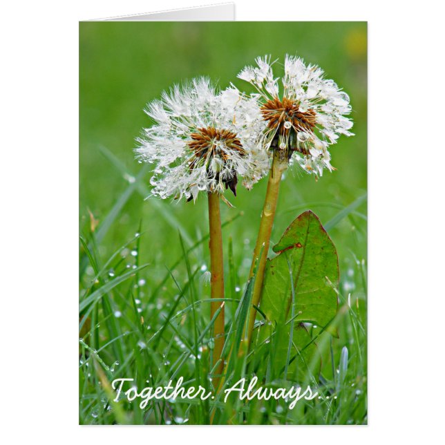 Together. Always... (Front)