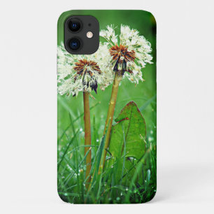 Together. Always Two Dandelions with raindrops iPhone 11 Case