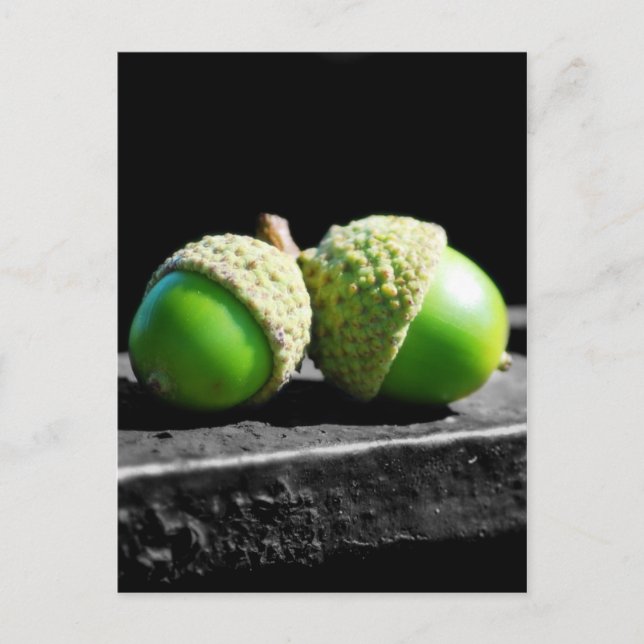 Together Forever Postcard (Front)