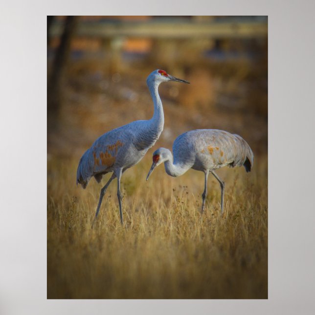 Together Poster (Front)