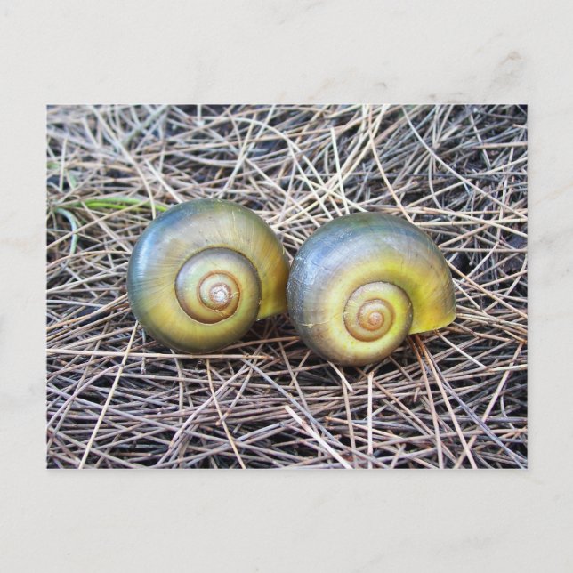 Together Warm Postcard (Front)