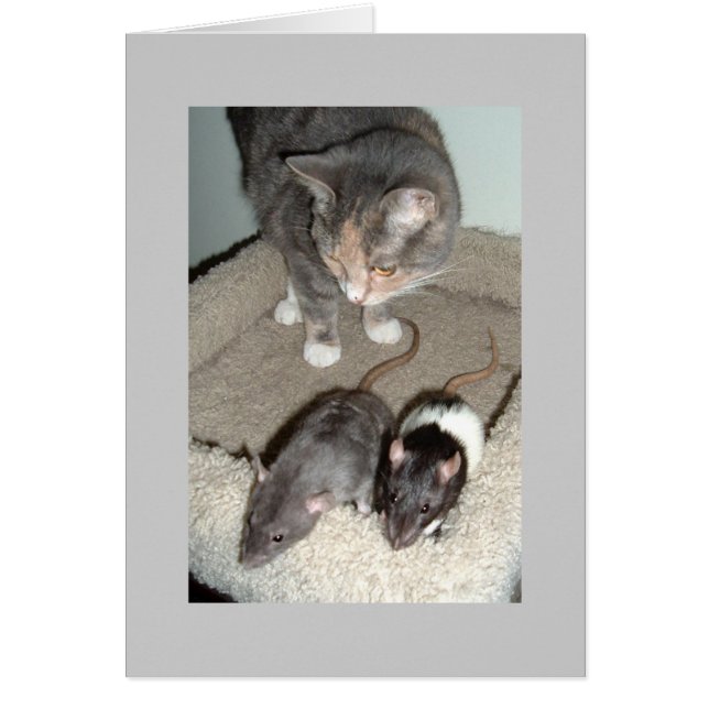 together we can (Front)