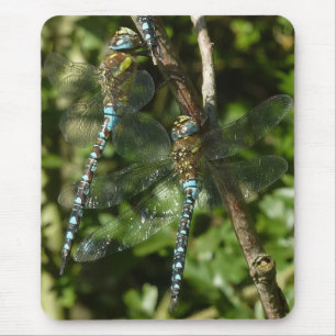 Togetherness! Mouse Pad