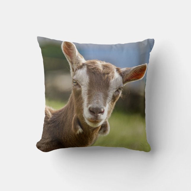 Toggenburg Dairy Goat Kid Cushion (Front)