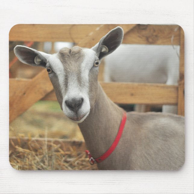Toggenburg Dairy Goat Mouse Pad (Front)