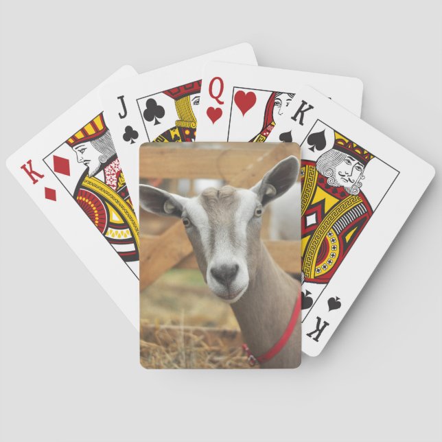 Toggenburg Dairy Goat Playing Cards (Back)