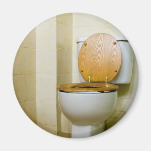 Toilet bowl in hotel bathroom magnet