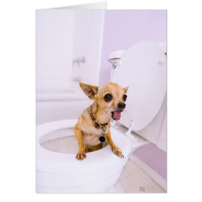 Toilet Bowl (water was drained out ) (Front)