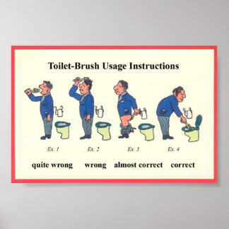 Toilet Brush Instructions Poster