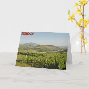 Tokaj vineyards, Hungary Card