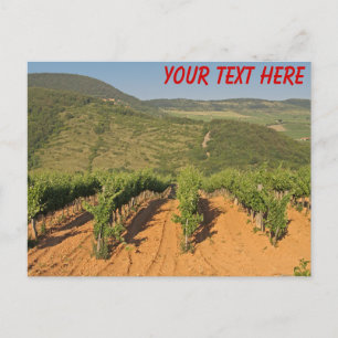 Tokaj vineyards, Hungary customisable Postcard