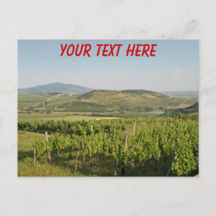 Tokaj vineyards, Hungary customisable Postcard