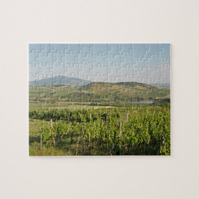Tokaj vineyards, Hungary Jigsaw Puzzle (Horizontal)
