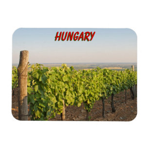Tokaj vineyards, Hungary Magnet