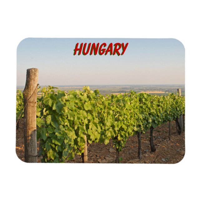 Tokaj vineyards, Hungary Magnet (Horizontal)