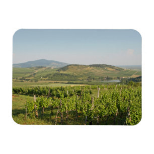 Tokaj vineyards, Hungary Magnet