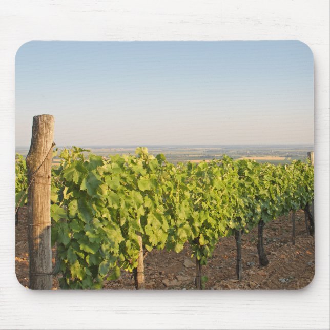 Tokaj vineyards, Hungary Mouse Pad (Front)