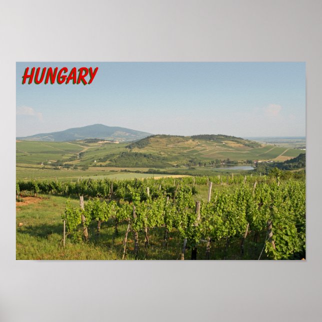 Tokaj vineyards, Hungary Poster (Front)