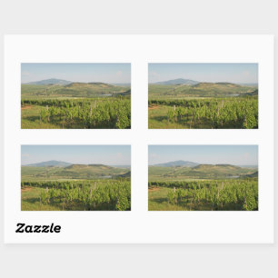Tokaj vineyards, Hungary Rectangular Sticker