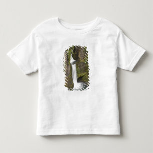 Toketee Falls in Douglas county, Oregon Toddler T-Shirt