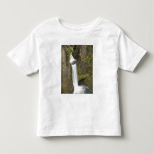 Toketee Falls in Douglas county, Oregon Toddler T-Shirt