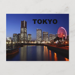 Tokyo Japan by Night (St.K) Postcard